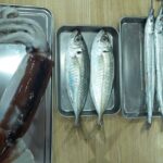 Tsukiji Fish Market Cooking Experience - Final Thoughts on the Tsukiji Fish Market Cooking Experience