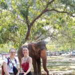 Tuk Tuk Private Tour Exploring Sri Lanka Capital of Colombo - Who Should Take This Tour?