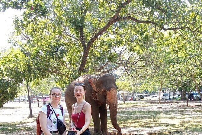 Tuk Tuk Private Tour Exploring Sri Lanka Capital of Colombo - Who Should Take This Tour?