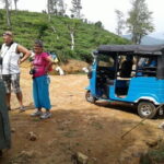 TukTuk Safari in Tea & Spice plantation,View Points,Upper Diyaluma WaterFalls, - Exploring the Highlights of the TukTuk Safari