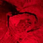 Turtle Tales of Pulau Banyak - The Sum Up