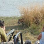 Two Night Safari Experience Ranthambore National Park &Transfers - Why This Tour Offers Good Value