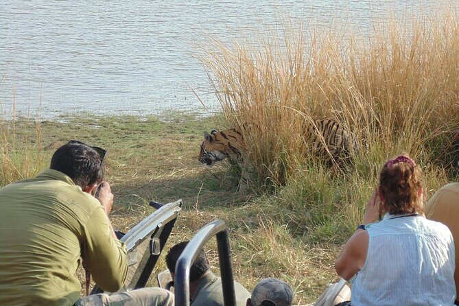 Two Night Safari Experience Ranthambore National Park &Transfers - Why This Tour Offers Good Value