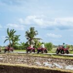 Ubud ATV Quad Bike with Infinity Pool Access All Inclusive - Final Thoughts: Why Choose This Experience?