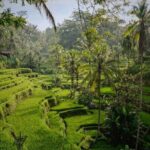 Ubud: Best of Ubud Private Day Tour with Local Guide - FAQs