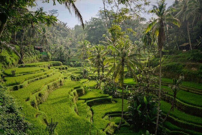 Ubud: Best of Ubud Private Day Tour with Local Guide - FAQs
