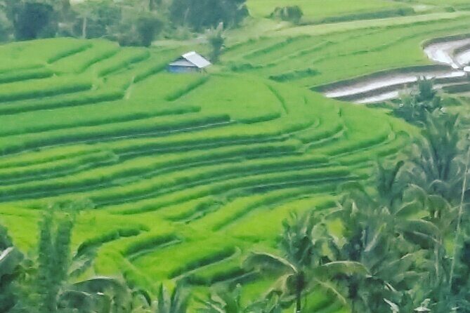 Ubud Buggy Adventure & Costumize Activities & cultural tours - FAQs