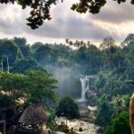 Ubud Day Tour with Private Car & Local Driver - What Travelers Are Saying