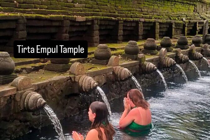 Ubud Day Trip Private Car Charter for a Full Bali Experience - The Sum Up