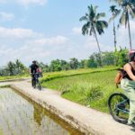 Ubud eBikes Tour to Tegallalang Rice Terrace - Why This Tour Works for Travelers
