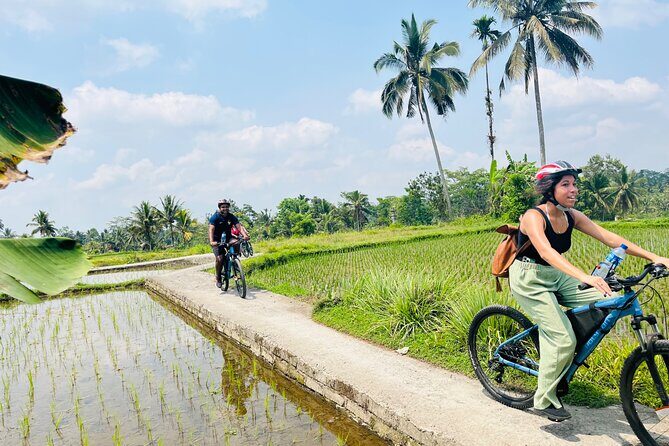 Ubud eBikes Tour to Tegallalang Rice Terrace - Why This Tour Works for Travelers