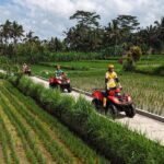 Ubud Gorilla ATV Quad Bike Adventure with Meal - Authentic Experiences and Real Reviews