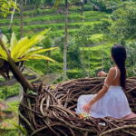 Ubud Highlights -Private Tour,Temples, Waterfalls & Rice terraces - Frequently Asked Questions