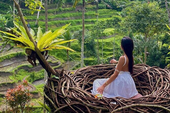 Ubud Highlights -Private Tour,Temples, Waterfalls & Rice terraces - Frequently Asked Questions