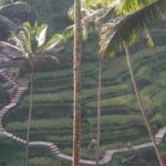 Ubud Private & Customize Day Tour - A Deep Dive into the Itinerary