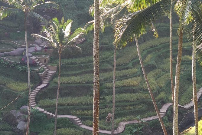 Ubud Private & Customize Day Tour - A Deep Dive into the Itinerary