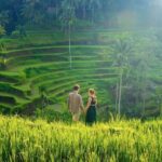 UBUD Private Tour  Rice Terrace, Jungle Swing & Hidden Waterfall - The Experience in Practice: What to Expect