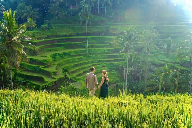 UBUD Private Tour Rice Terrace, Jungle Swing & Hidden Waterfall - The Experience in Practice: What to Expect