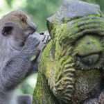 Ubud Private Tour Sightseeing and Waterfall - Final Thoughts