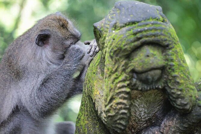 Ubud Private Tour Sightseeing and Waterfall - Final Thoughts