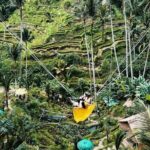 Ubud Private Tour: Waterfall, Monkey Forest, Rice Terrace, Temple - A Detailed Look at the Ubud Private Tour
