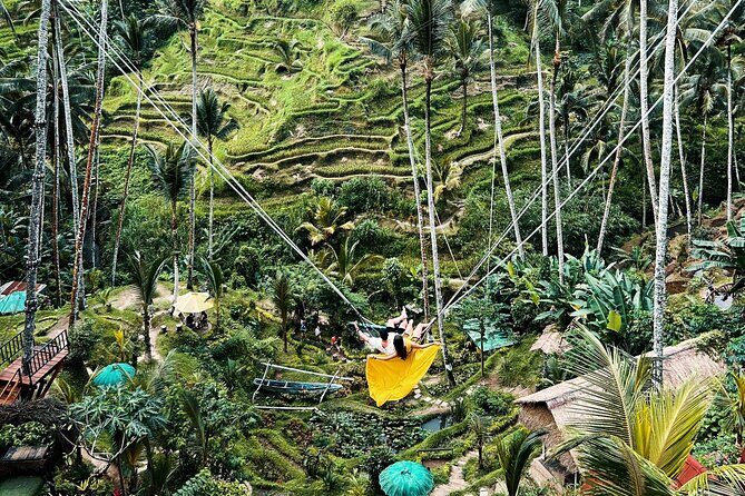 Ubud Private Tour: Waterfall, Monkey Forest, Rice Terrace, Temple - A Detailed Look at the Ubud Private Tour