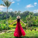 Ubud Private Tour: Waterfalls, Temple and Rice Terraces Swing - Why This Tour Offers Great Value