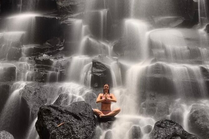Ubud : Rice Terrace, water Temple and Waterfalls Private tour - What Makes This Tour Stand Out?