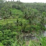 Ubud Rice Terraces eBike Private Tour - Exploring the Itinerary in Detail