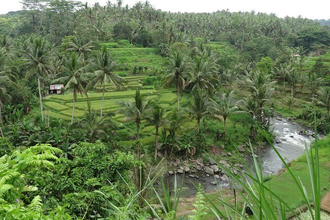Ubud Rice Terraces eBike Private Tour - Exploring the Itinerary in Detail