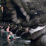 Ubud Top Tours to Discover Balis Cultural and Natural Wonders - Why This Tour Works Well for You