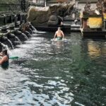 Ubud Tour - Highlights of Ubud - Final Thoughts: Who Is This Tour Perfect For?