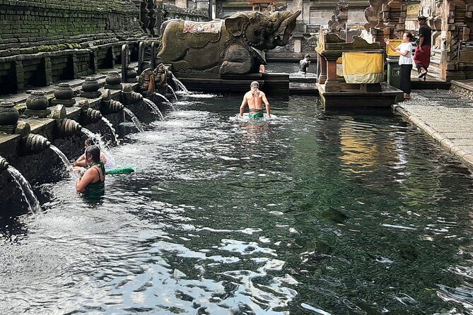 Ubud Tour - Highlights of Ubud - Final Thoughts: Who Is This Tour Perfect For?