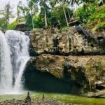 Ubud Tour: Monkey Forest - Temple - Waterfall & Rice Terrace - The Authenticity Factor
