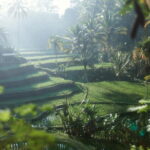 Ubud Tour Water Temple with Jungle Swing - Final Thoughts: Why Choose This Tour?