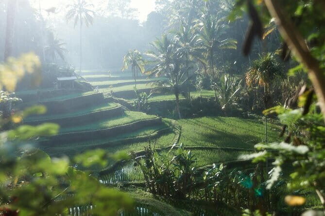 Ubud Tour Water Temple with Jungle Swing - Final Thoughts: Why Choose This Tour?