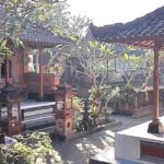 Ubud Tour With Bali Swing All Inclusive - Final Thoughts: Who Should Consider This Tour?