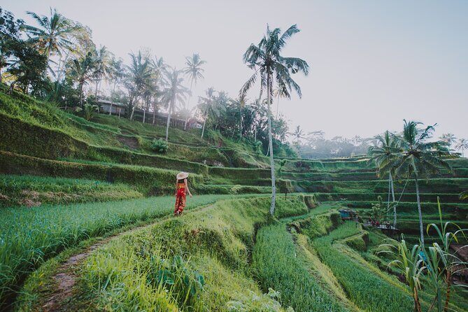 Ubud: Waterfall, Rice Terraces, and Monkey Forest Private Tour - FAQ