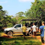 Udawalawa National Park & Orphanage Visit from Hambantota Port - Practical Details and Tips for Your Safari