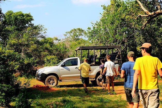 Udawalawa National Park & Orphanage Visit from Hambantota Port - Practical Details and Tips for Your Safari