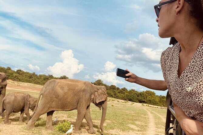 Udawalawe National Park 6-Hour Private Safari Tour - A Deep Dive into the Udawalawe Safari Experience