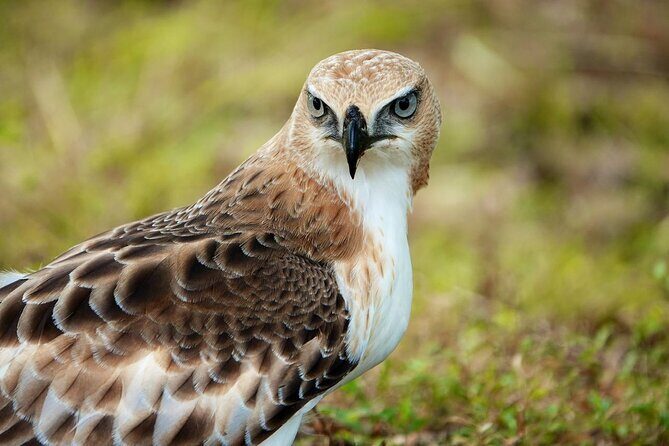 Udawalawe National Park | Half day - Safari tour - Who is this tour best suited for?