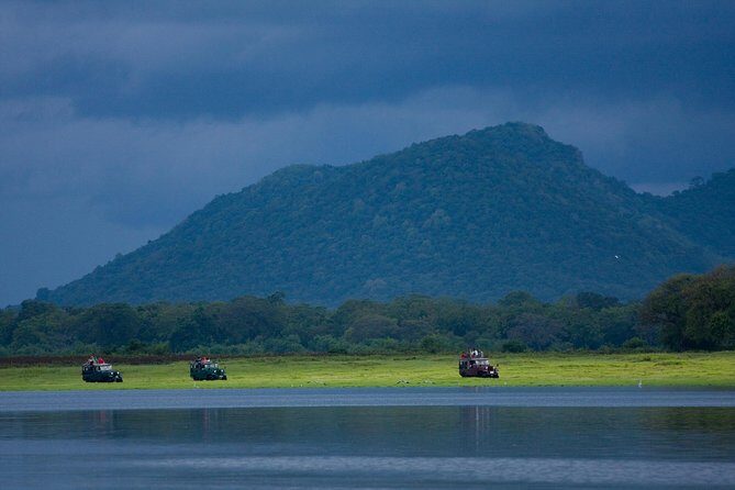 Udawalawe National Park Safari from Bentota - Final Thoughts: Is This Tour for You?