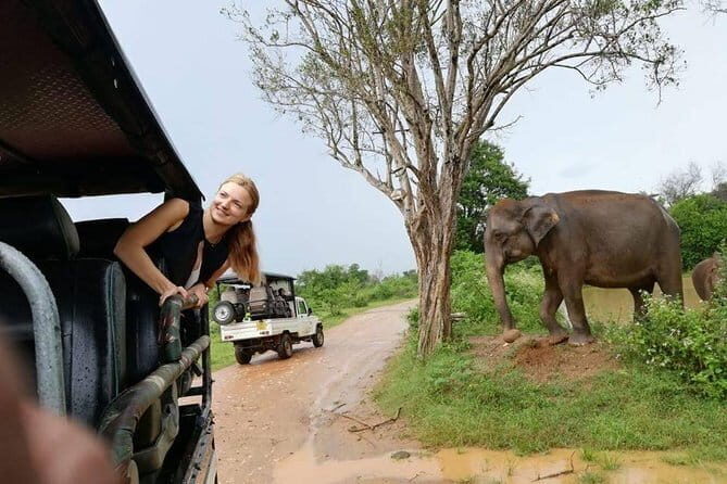 Udawalawe National Park Safari | From Ella - Why Choose the Udawalawe Safari from Ella?