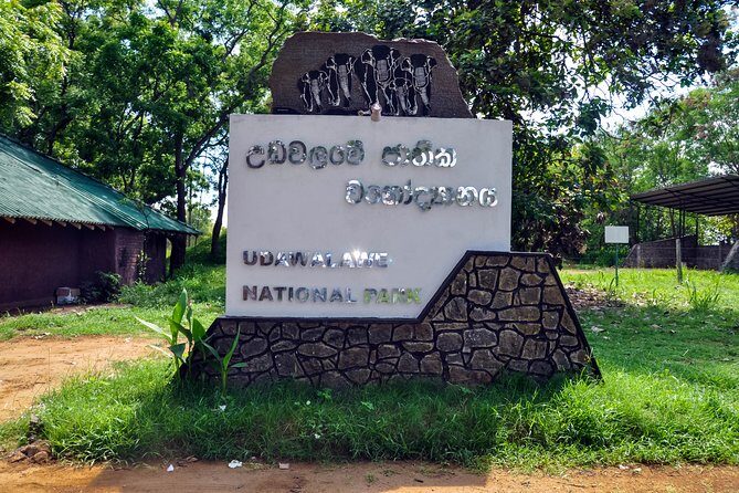 Udawalawe National Park Safari from Unawatuna - Why This Tour Works Well