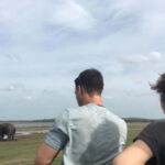 Udawalawe: Private Safari with Picnic and Hotel Pickup - Who Should Book This Tour?