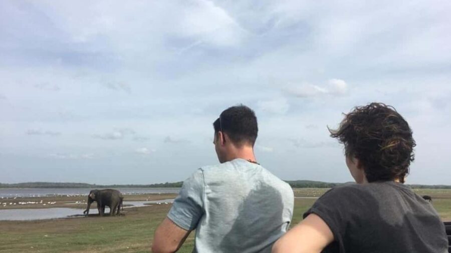 Udawalawe: Private Safari with Picnic and Hotel Pickup - Who Should Book This Tour?