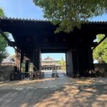 Ueno Area Where Samurai Fell and Japan Rose - What Makes This Tour Stand Out