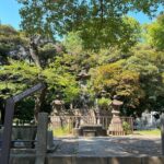 Ueno Park and Ameyoko Street Food Market Half Day Walking Tour - A Deep Dive into the Ueno Experience