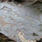 Undiscovered Uzbekistan - Hayat Village Tour from Samarkand - Participating in Local Life